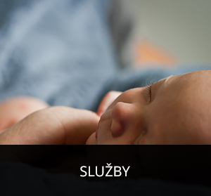 Poskytované služby